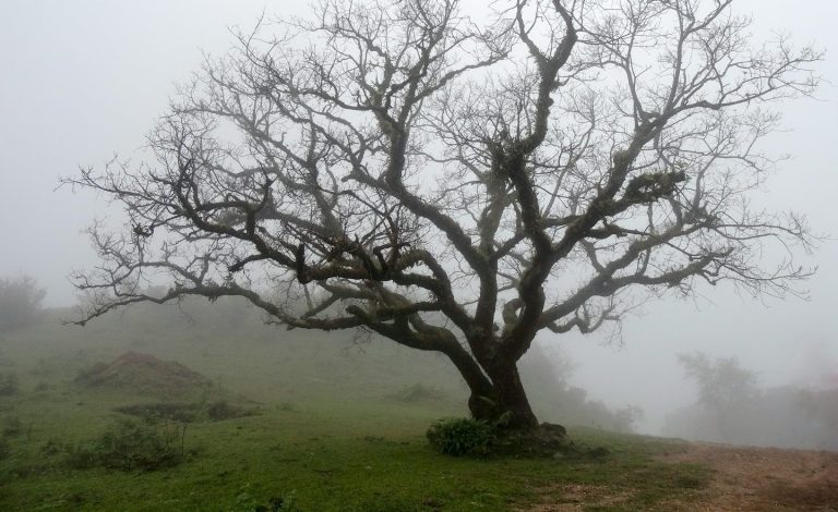 Coaching Gruppe Gespräch 
